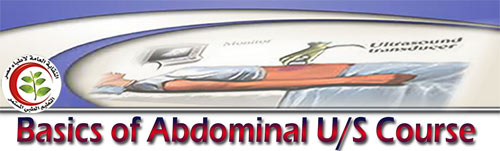 Basics of Abdominal ultrasound 