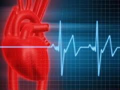 النقابة تنظم دورة في الإنعاش القلبي الرئوي