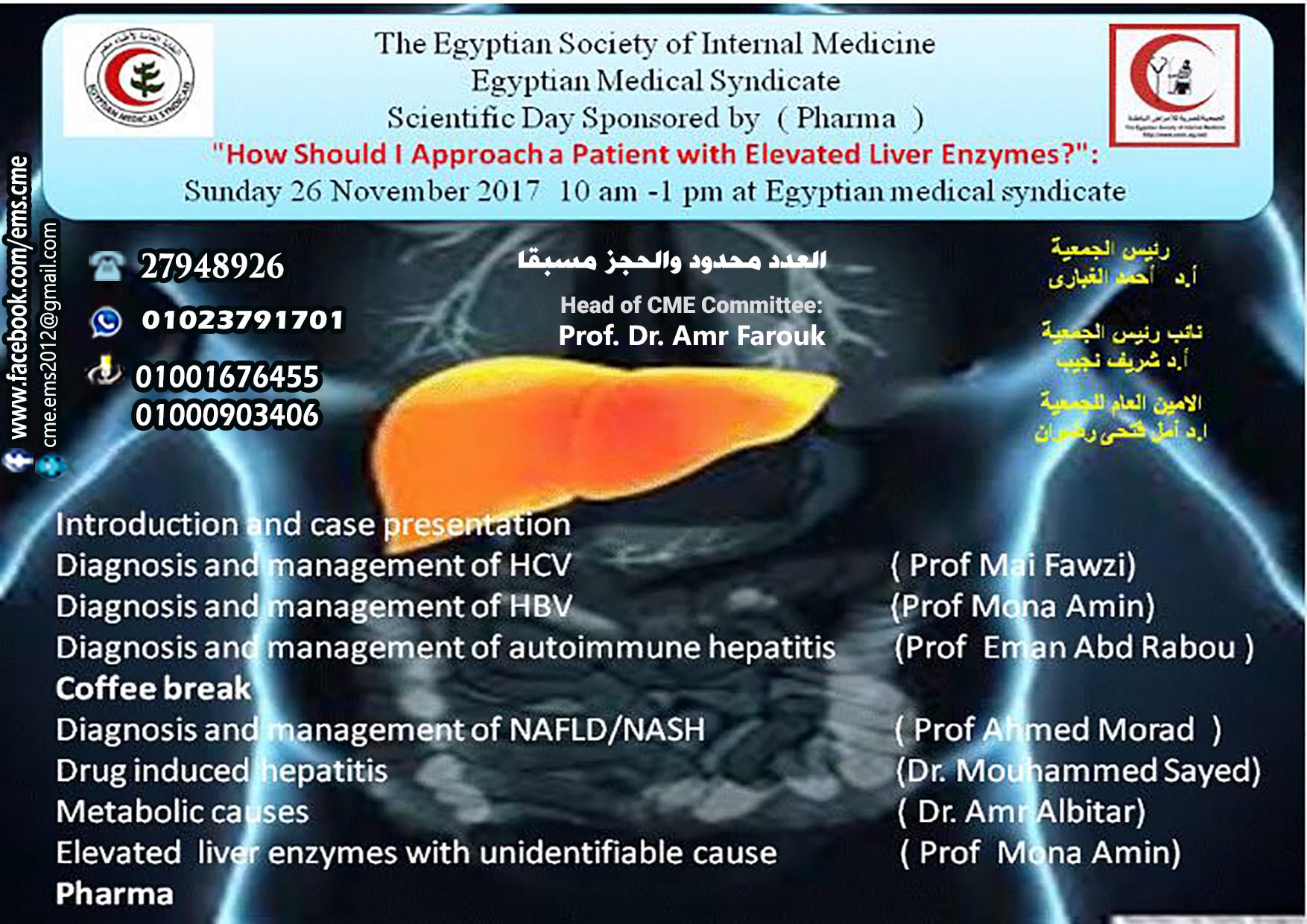 How should I Approach a patient with Elevated Liver Enzymes?