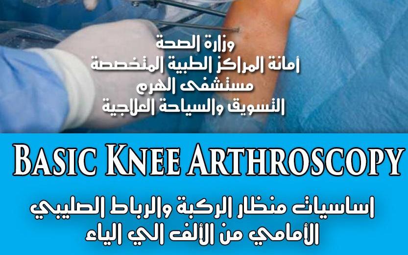 Basic Knee Arthroscopy
