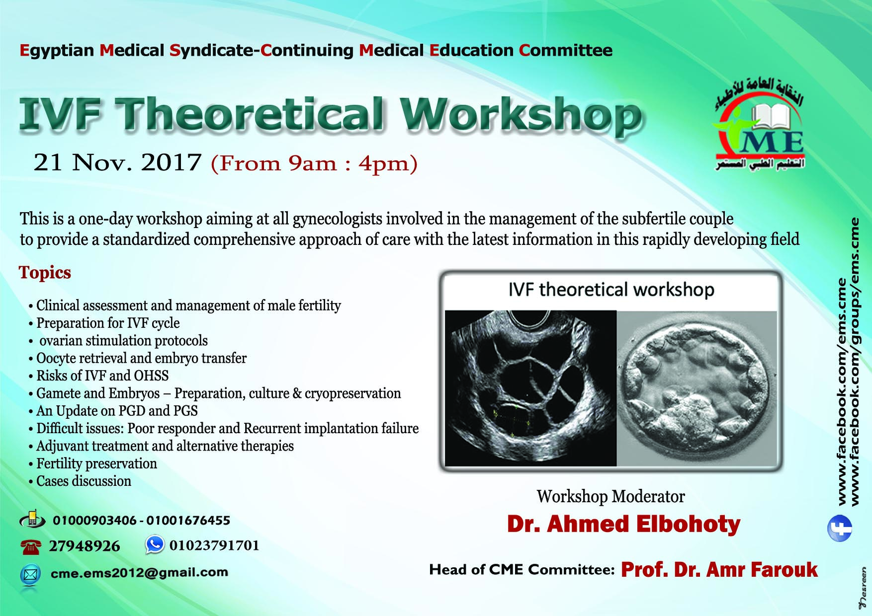 IVF Theoretical Workshop